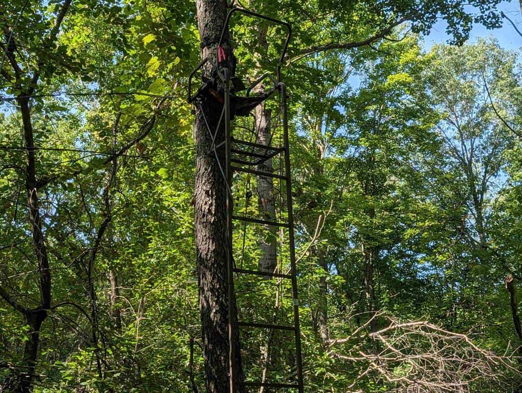 Hunting Land For Sale in Ogdensburg WI