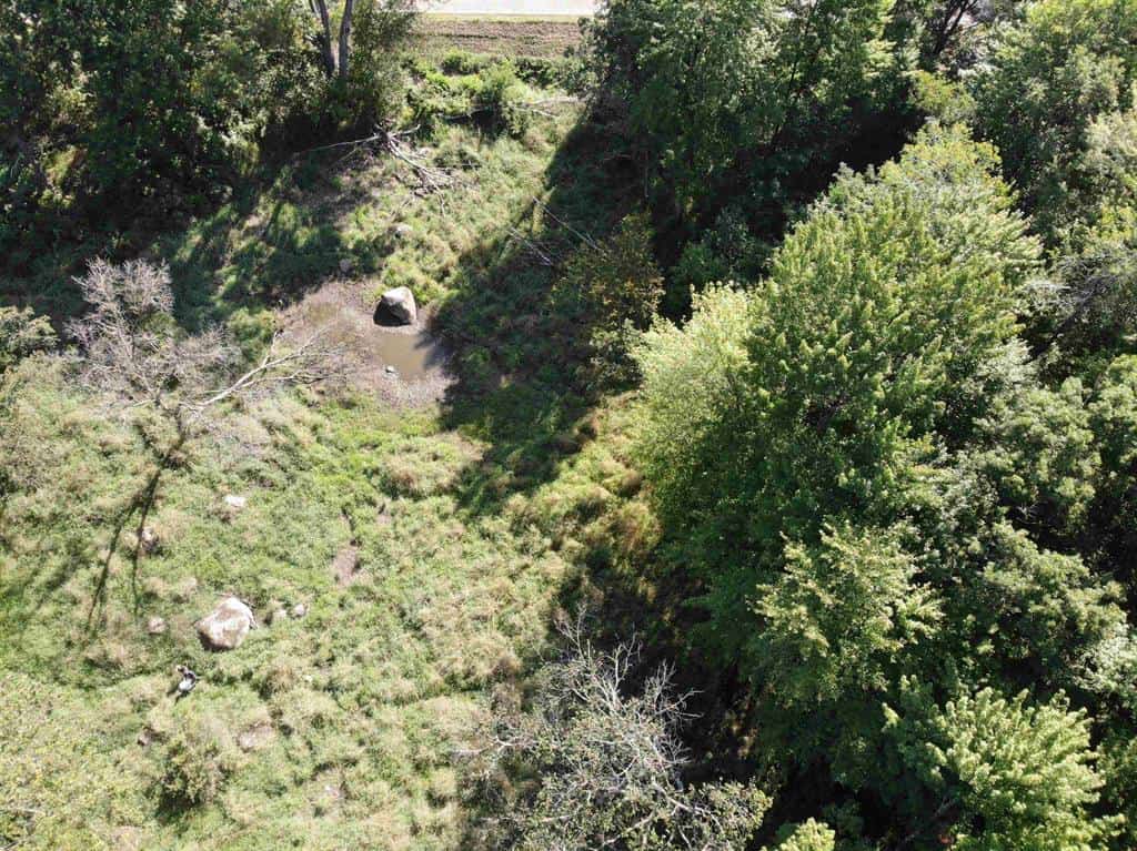 Hunting Land For Sale in Ogdensburg WI