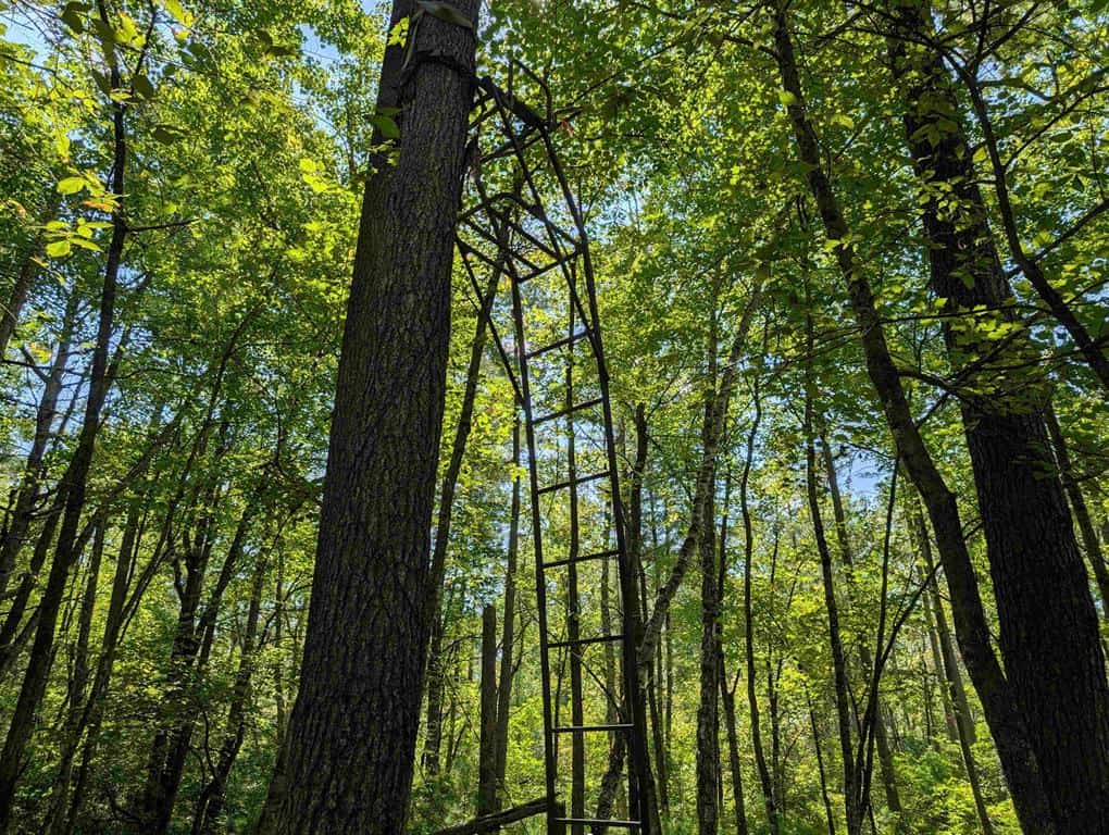 Hunting Land For Sale in Ogdensburg WI