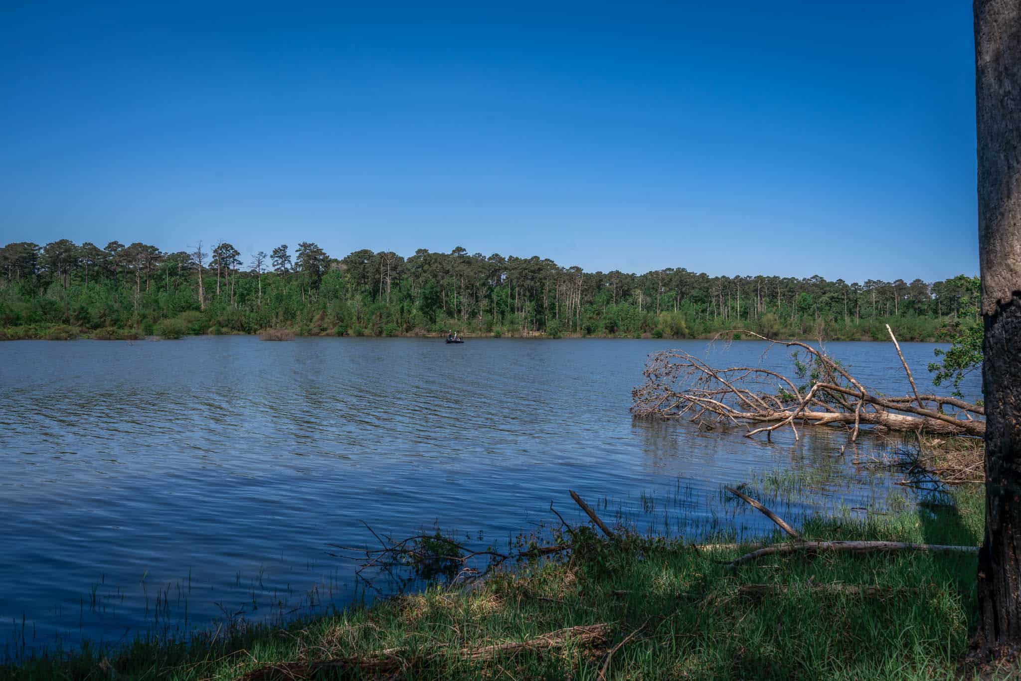 Hunting and Fishing Retreat on Sam Rayburn Lake-Zavalla, TX