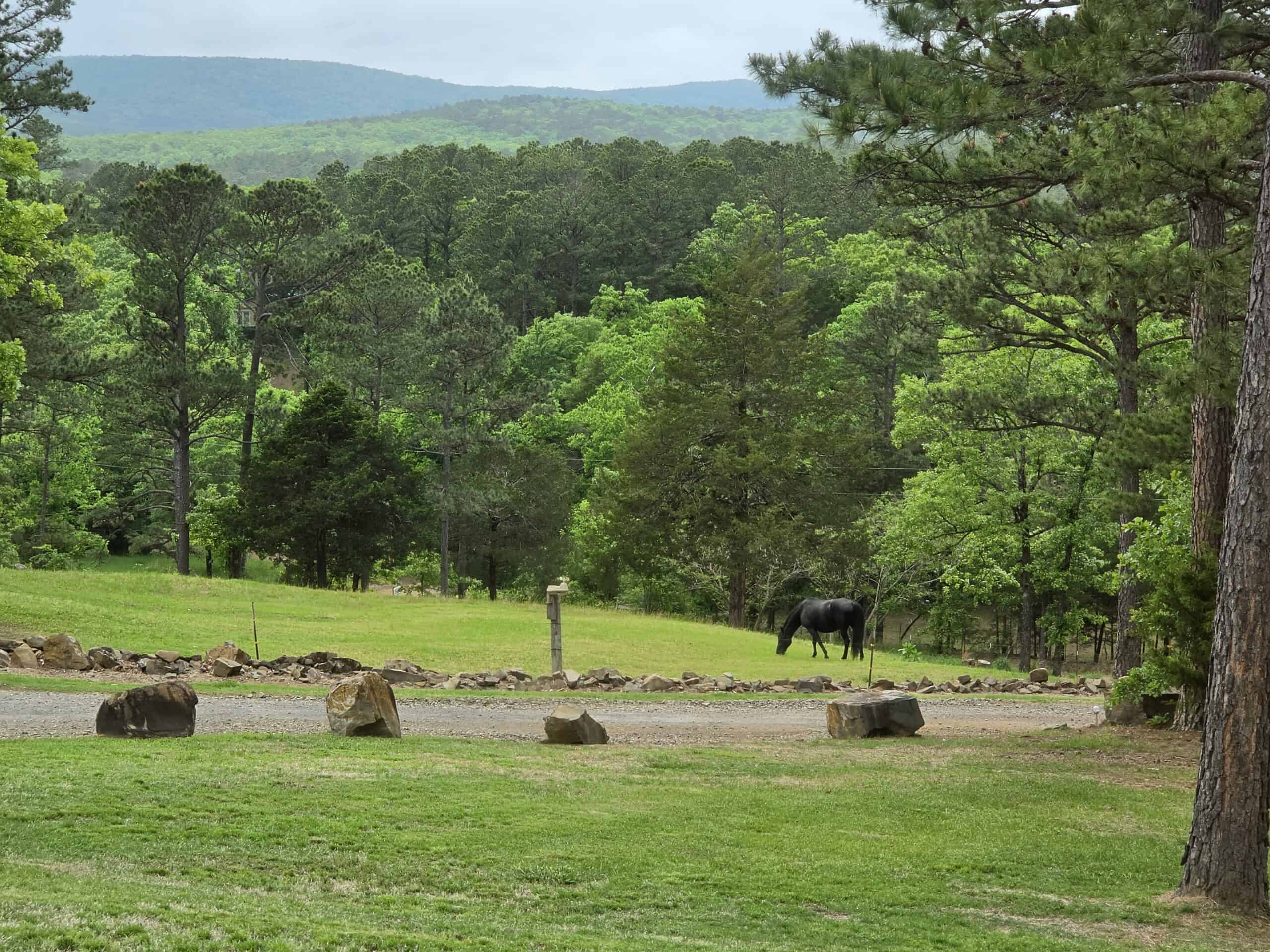 7.65 Acres Bordering Ouachita National Forest with Hunting & Outdoor Recreation