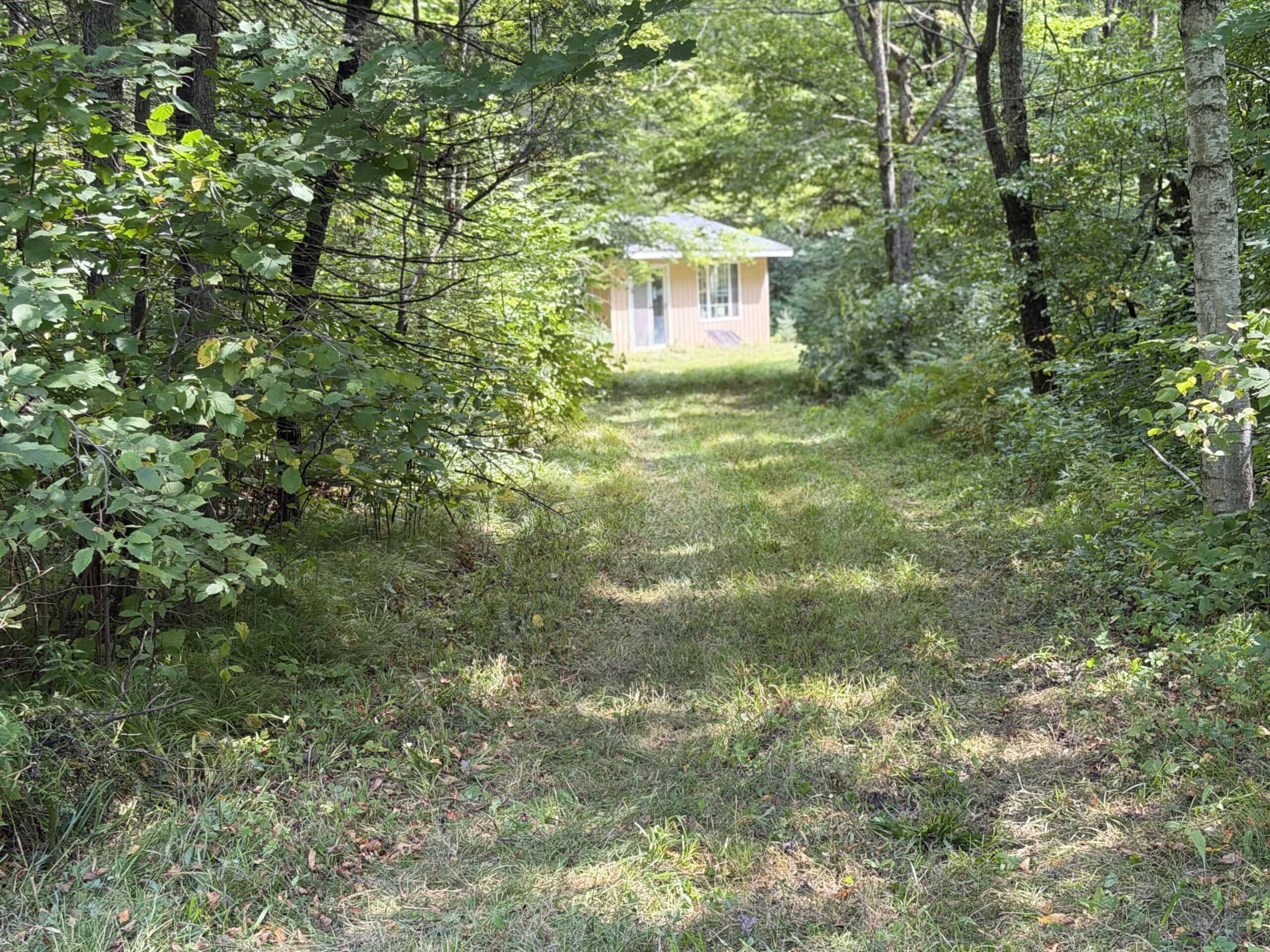 37.5± Acres with Off-Grid Cabin – Taylor County, Wisconsin
