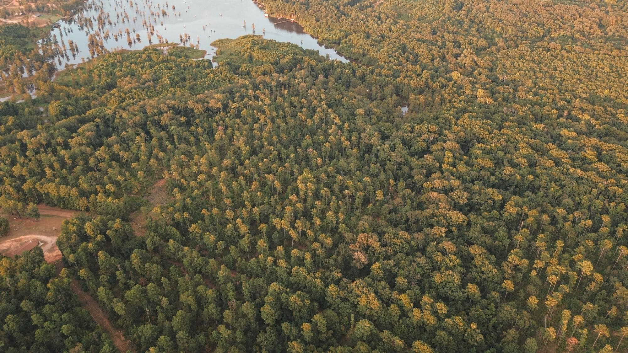 Lake D’Arbonne Land for Sale