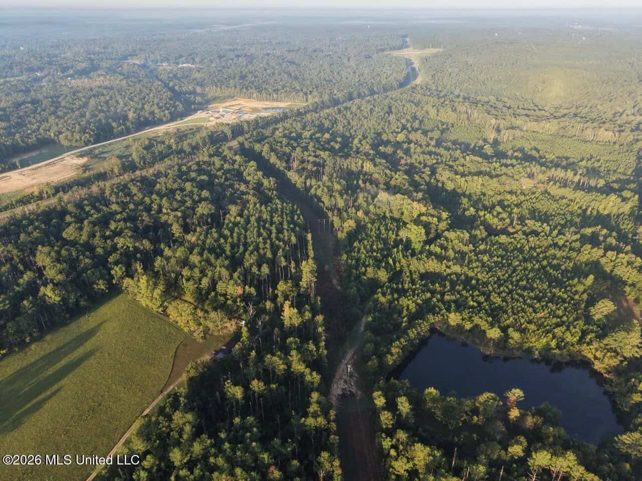 210+/- Acres and Cabin in Franklin County, MS