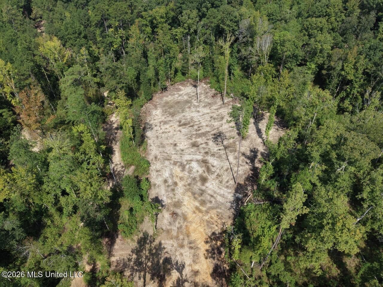 45± Acre Hunting Property in Franklin County, MS