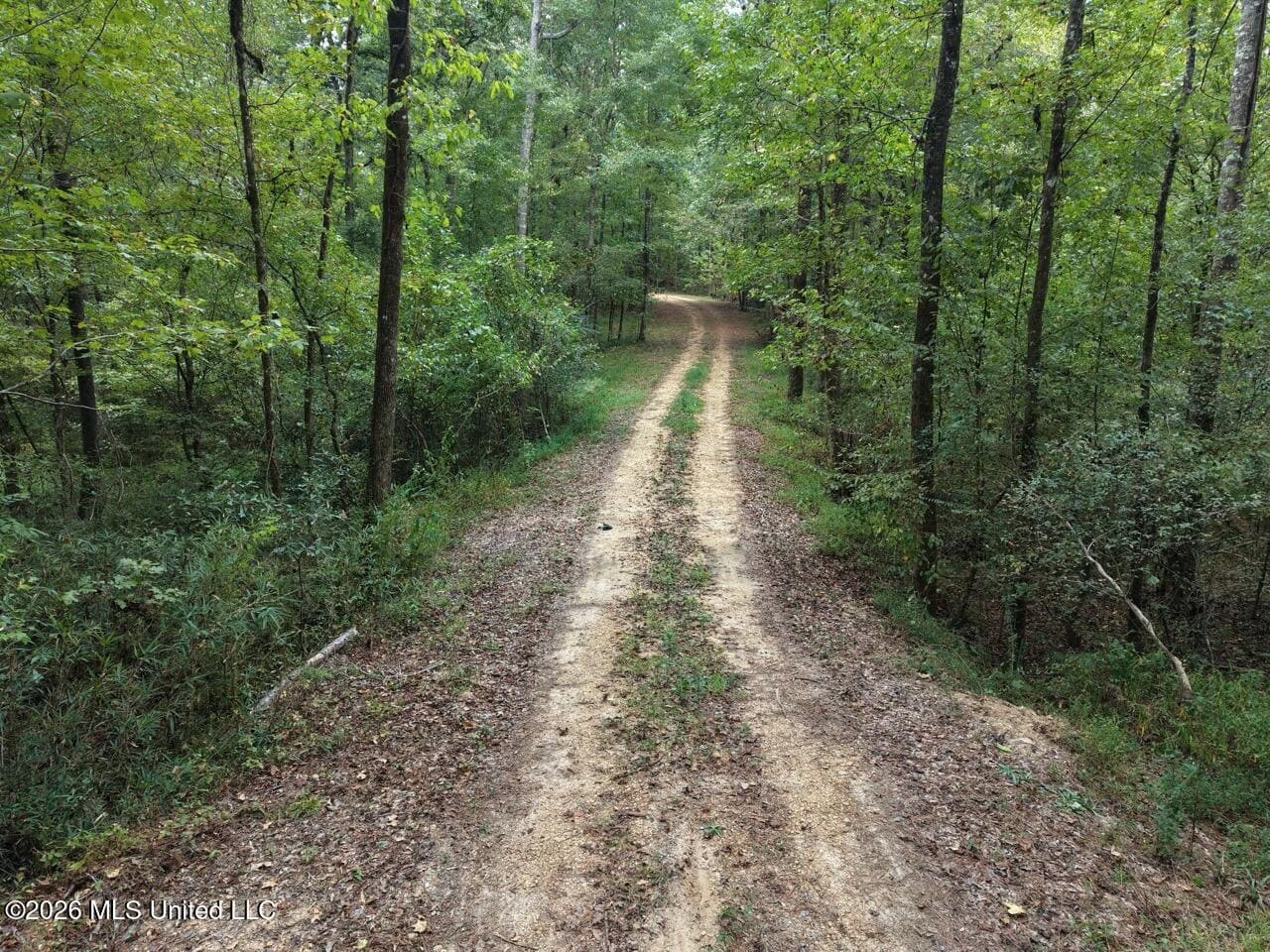 200± Acre Hunting Property in Jefferson County, MS