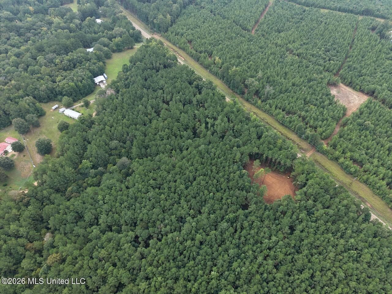 25± Acre Hunting & Homesite Tract in Centreville, MS