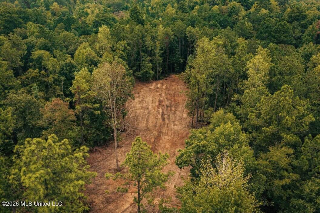 58± Acre Hunting Property in Franklin County, MS