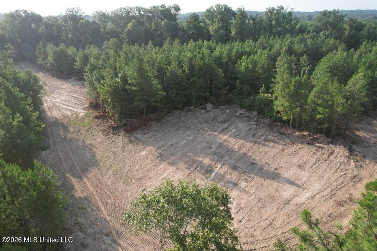 80± Acre Riverfront Hunting Land Near Meadville, MS