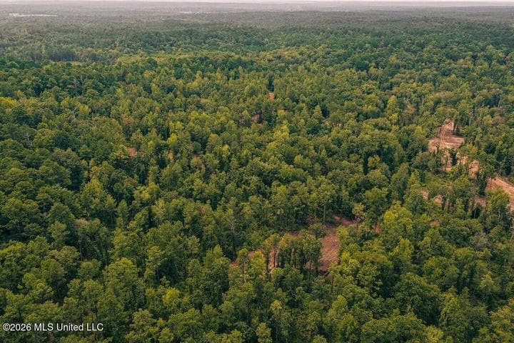36± Acre Hunting Property Near Bude, MS