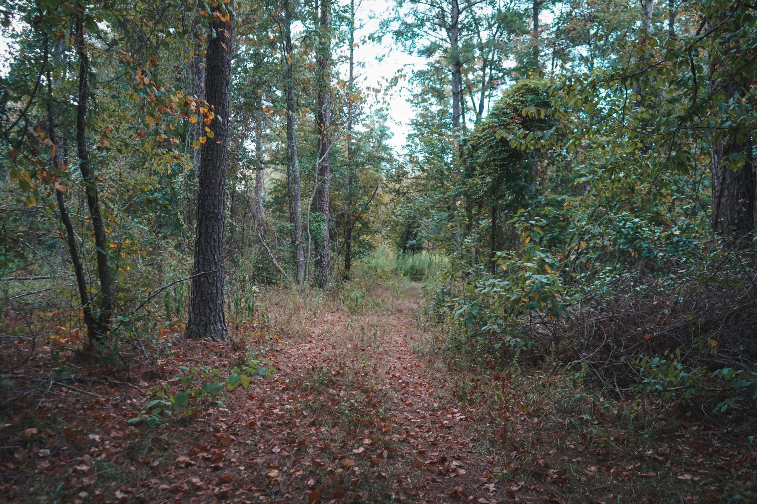 Affordable Union Parish Land for Sale