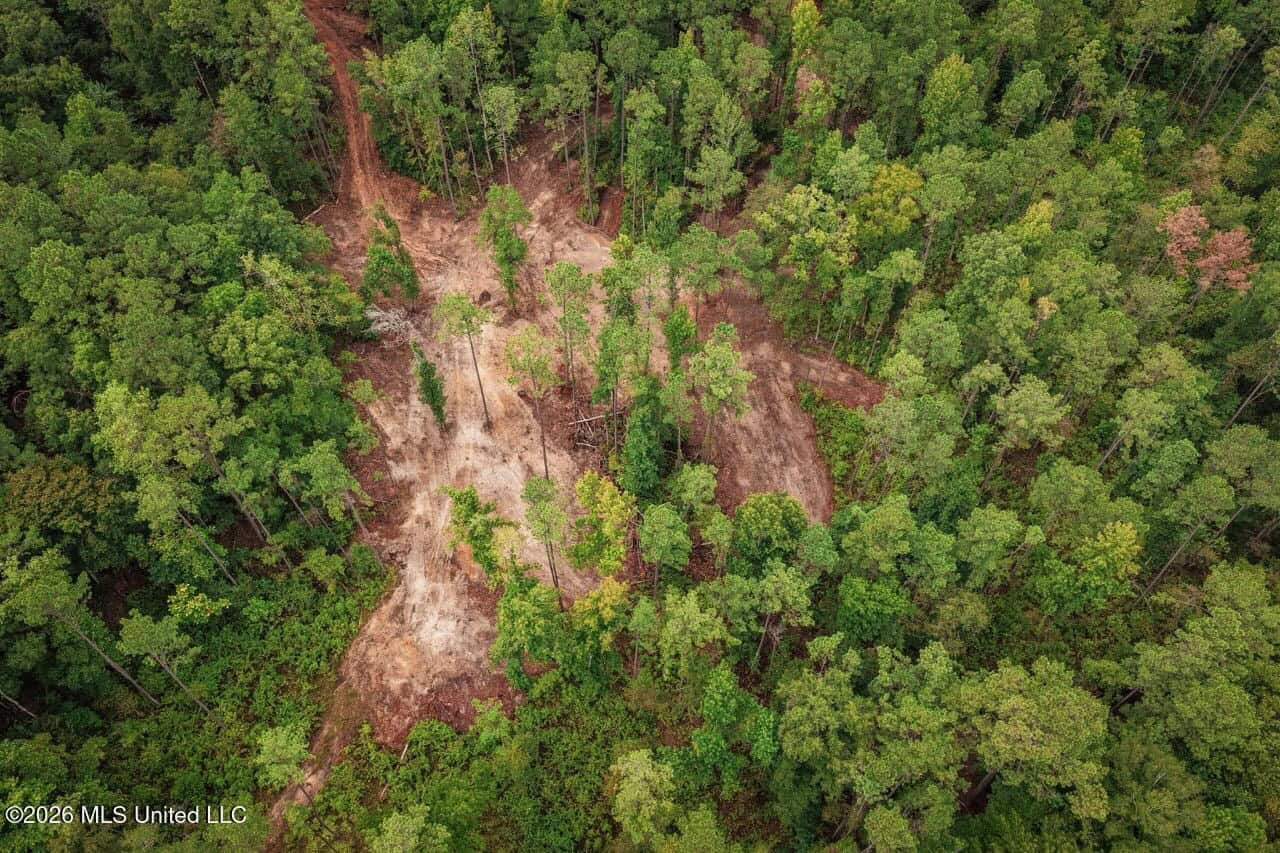 13± Acres by Homochitto National Forest Near Meadville, MS