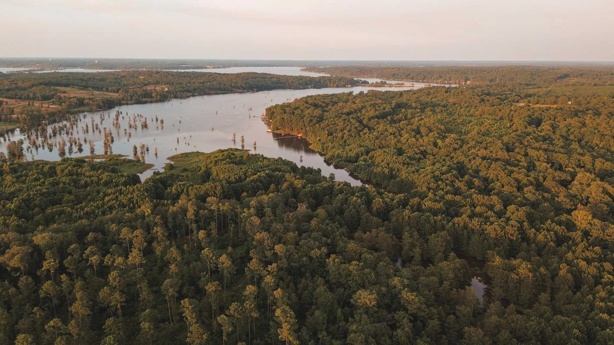 Lake D’Arbonne Land for Sale