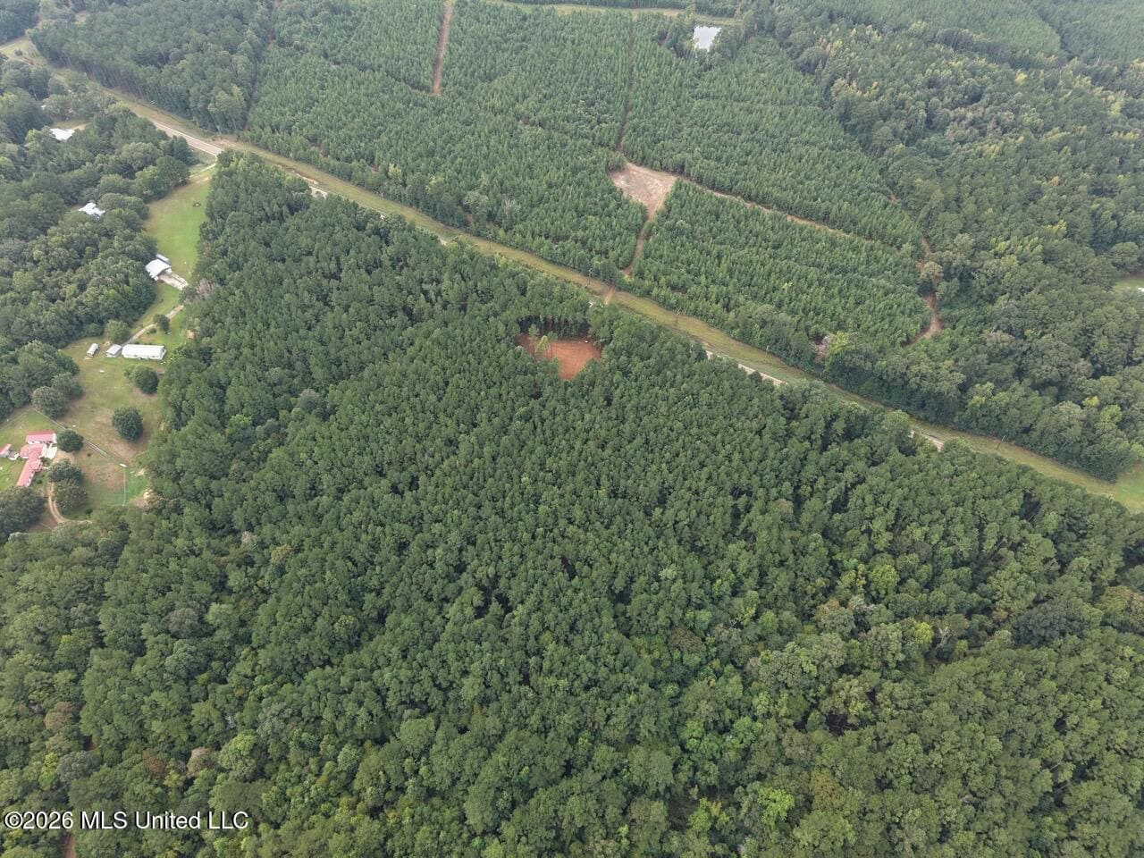 25± Acre Hunting & Homesite Tract in Centreville, MS