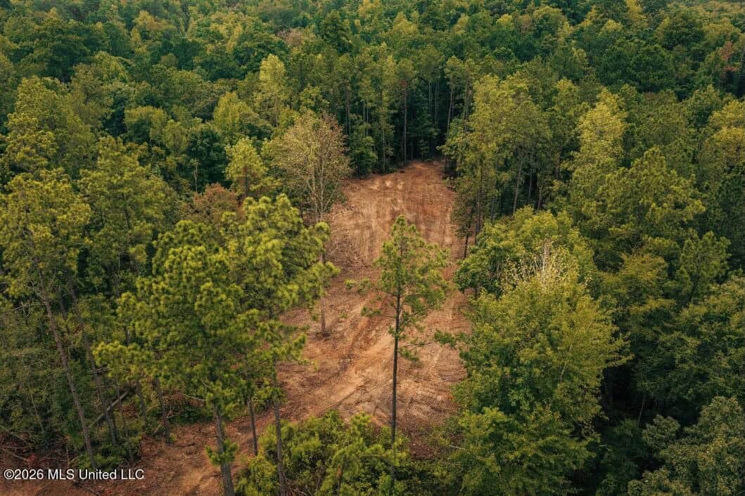 58± Acre Hunting Property in Franklin County, MS