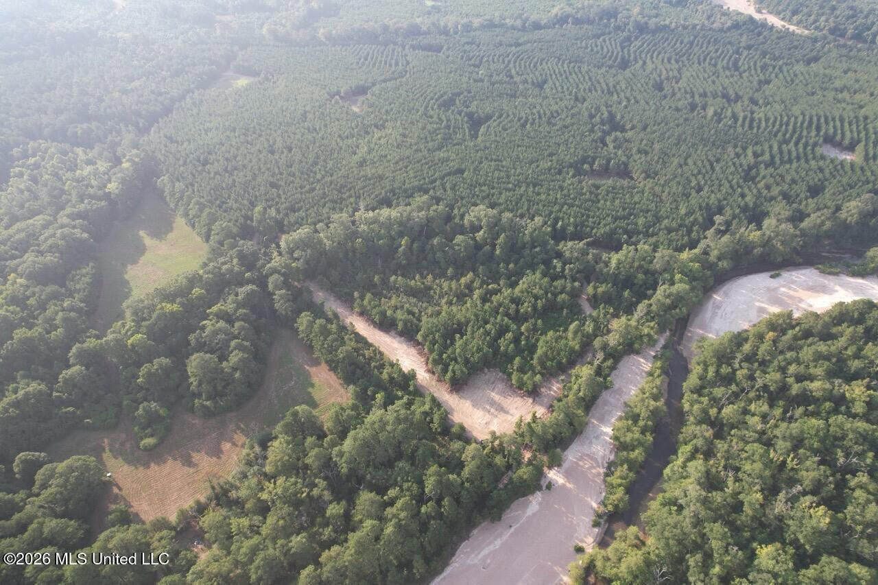 80± Acre Riverfront Hunting Land Near Meadville, MS