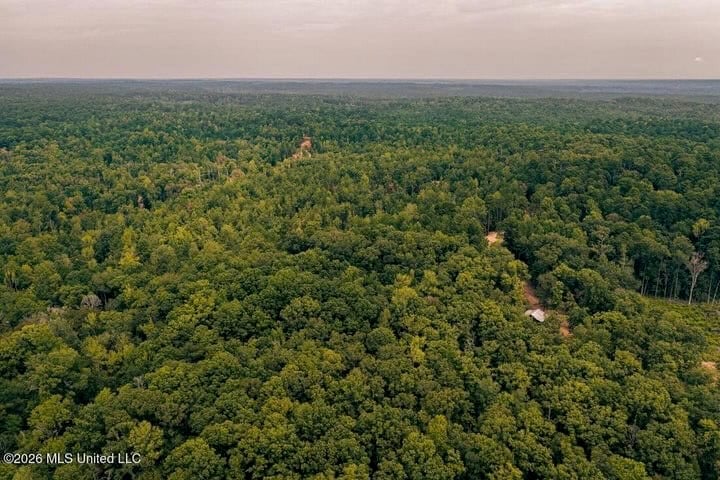 36± Acre Hunting Property Near Bude, MS