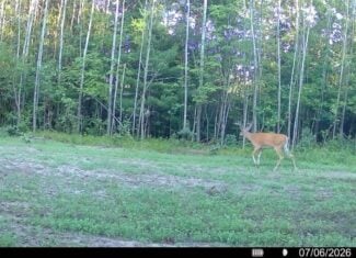 117± Acres of Irrigated Farmland and Trophy Whitetail Habitat — Adams County, Wisconsin