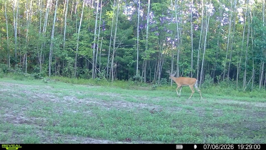 117± Acres of Irrigated Farmland and Trophy Whitetail Habitat — Adams County, Wisconsin
