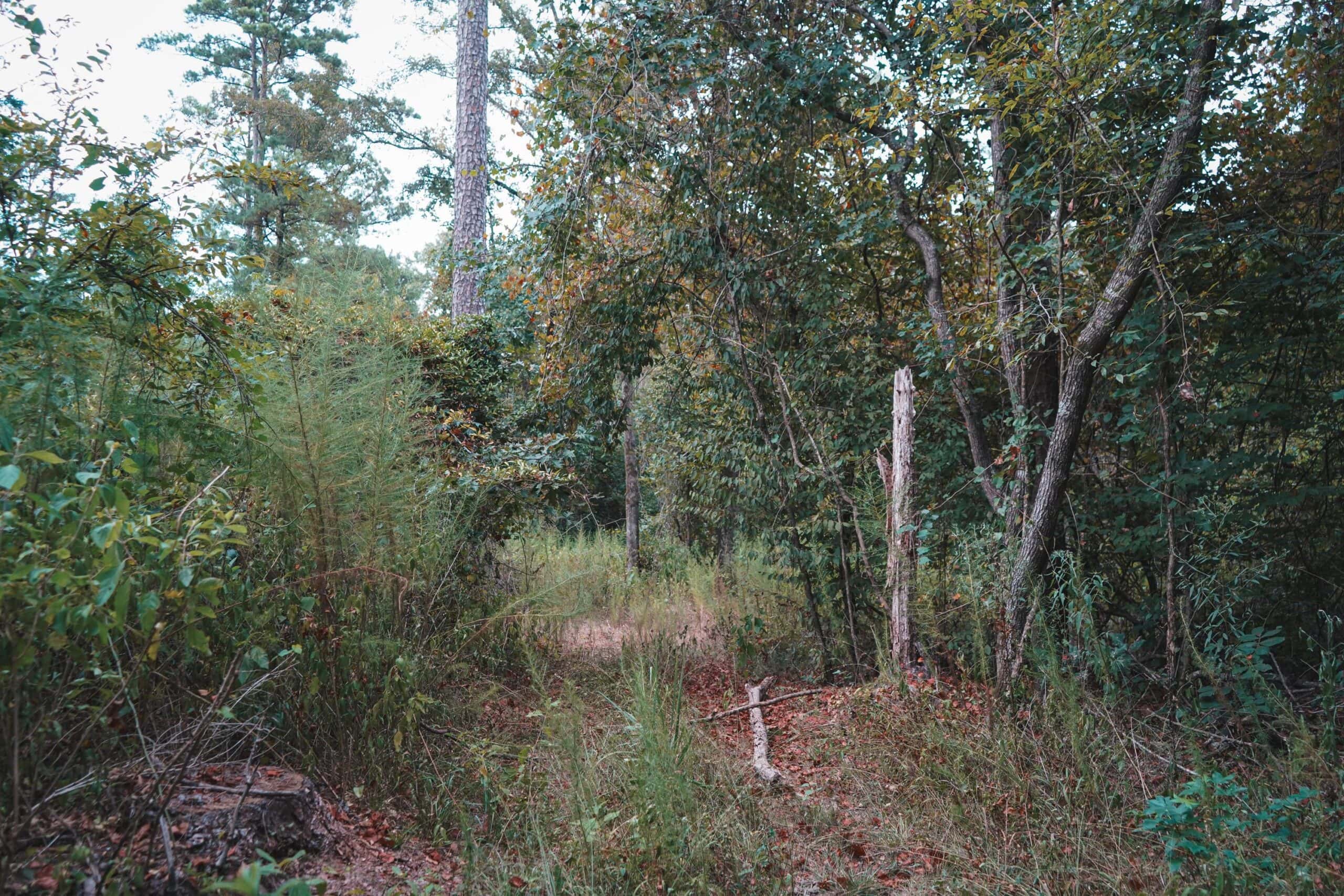 Affordable Union Parish Land for Sale