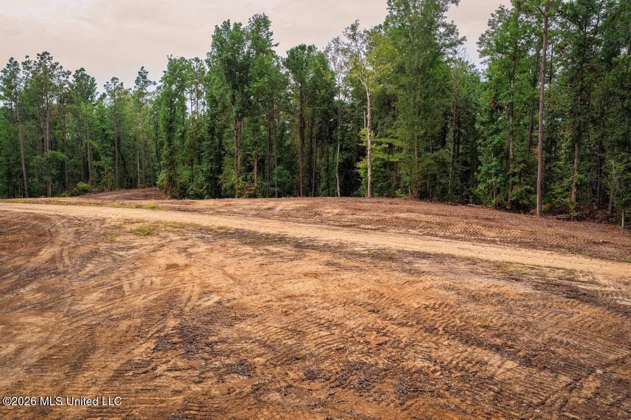 13± Acres by Homochitto National Forest Near Meadville, MS