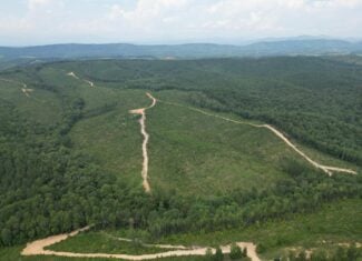 206+ Acres Bordering Tye River WMA – A Hunter’s Paradise