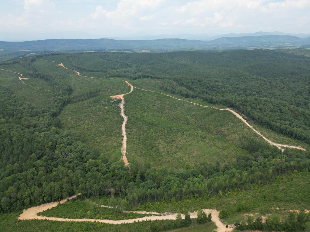 206+ Acres Bordering Tye River WMA – A Hunter’s Paradise