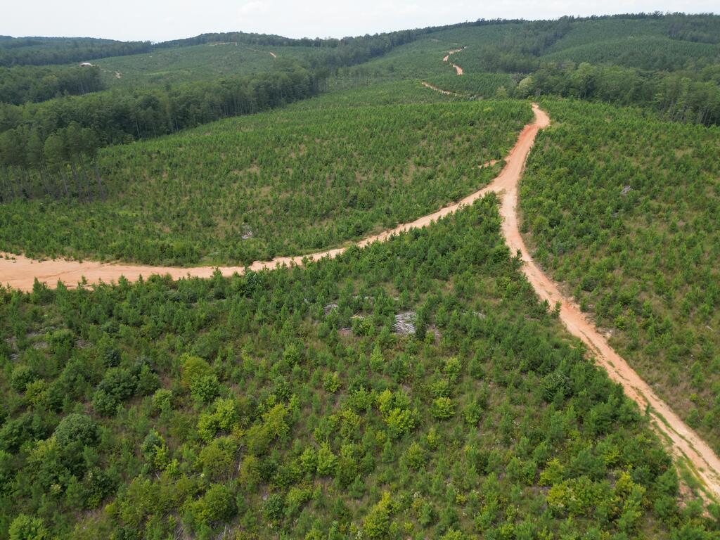 206+ Acres Bordering Tye River WMA – A Hunter’s Paradise