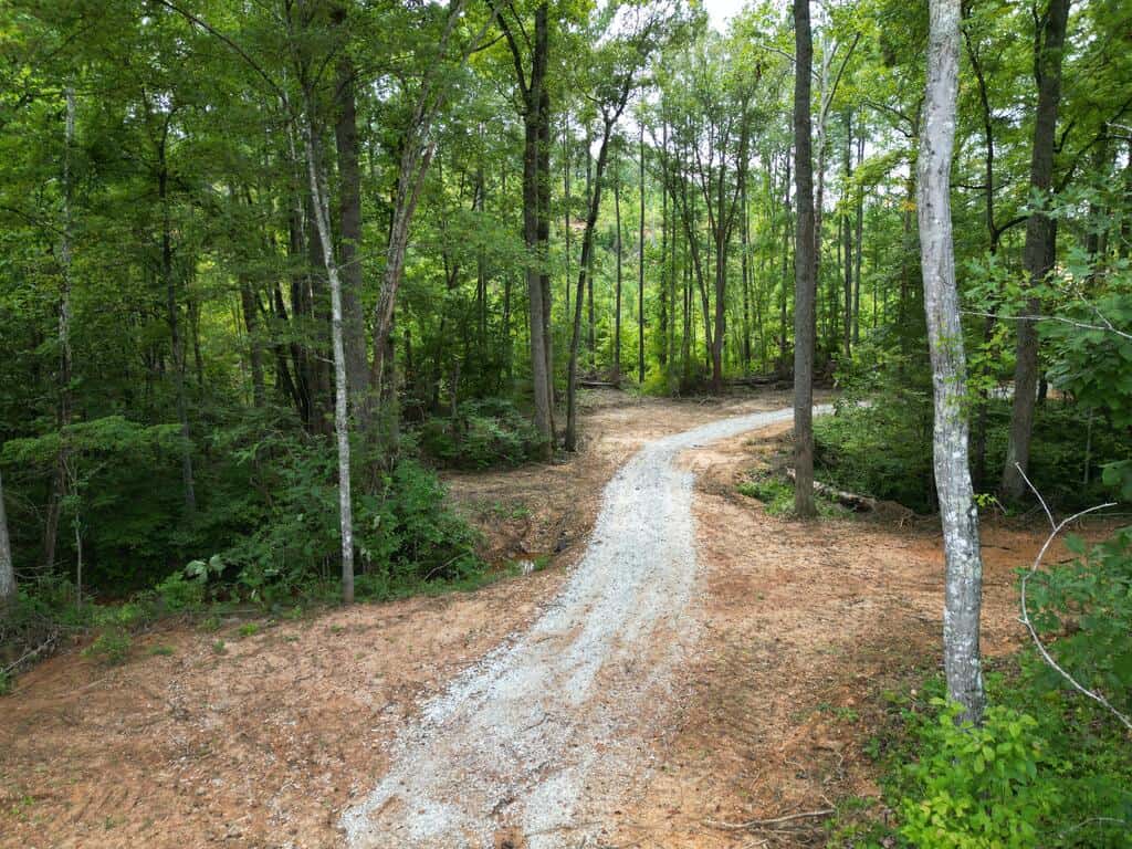 206+ Acres Bordering Tye River WMA – A Hunter’s Paradise