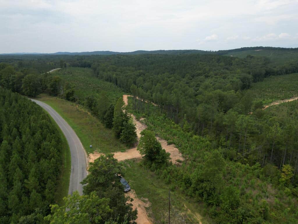 206+ Acres Bordering Tye River WMA – A Hunter’s Paradise