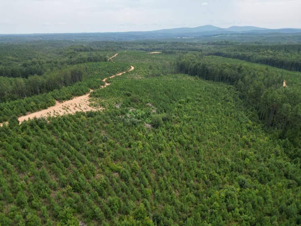 206+ Acres Bordering Tye River WMA – A Hunter’s Paradise