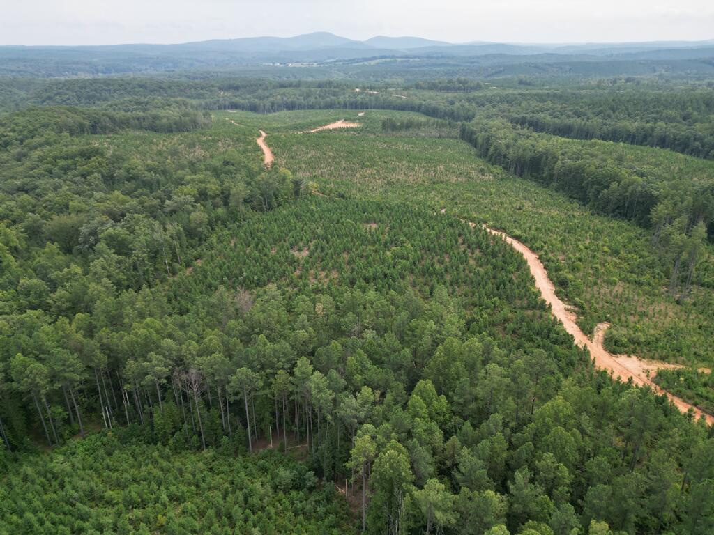 206+ Acres Bordering Tye River WMA – A Hunter’s Paradise