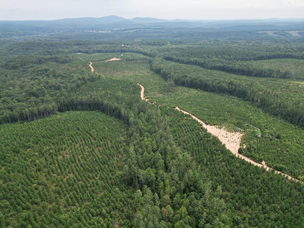 206+ Acres Bordering Tye River WMA – A Hunter’s Paradise