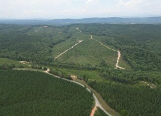 206+ Acres Bordering Tye River WMA – A Hunter’s Paradise