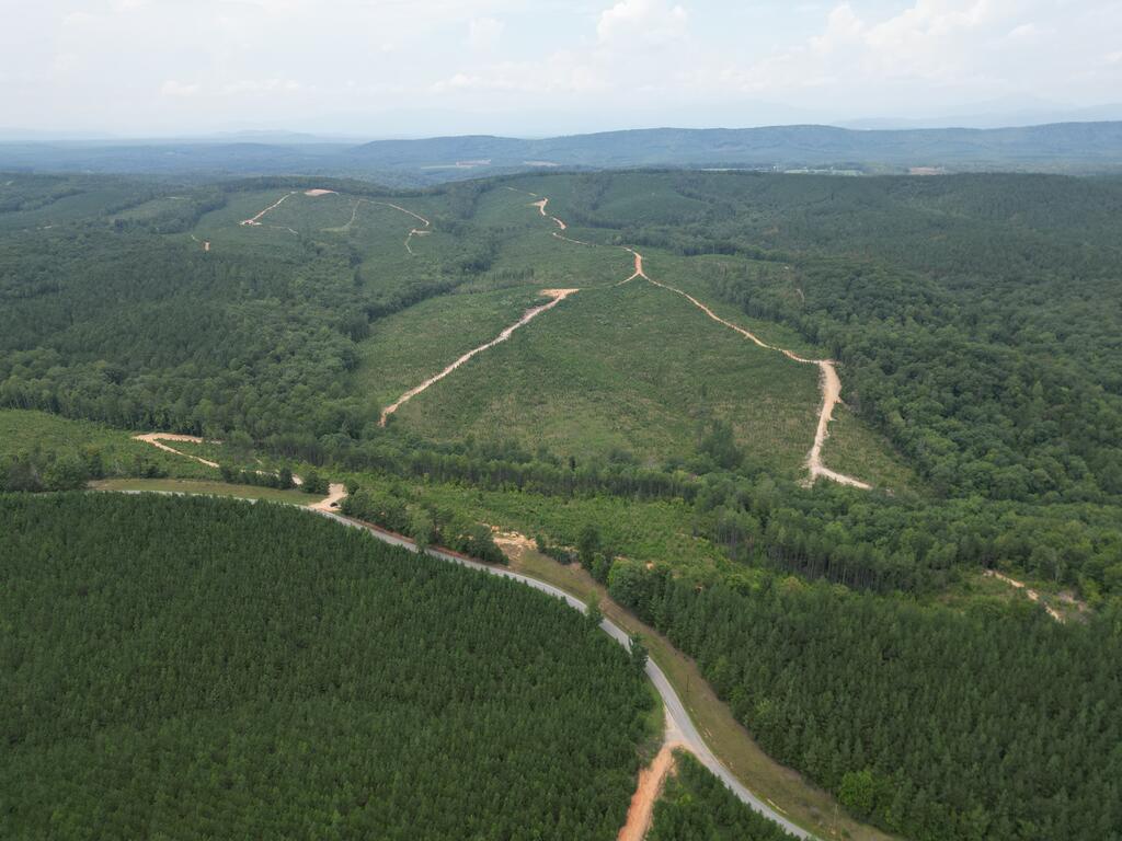 206+ Acres Bordering Tye River WMA – A Hunter’s Paradise