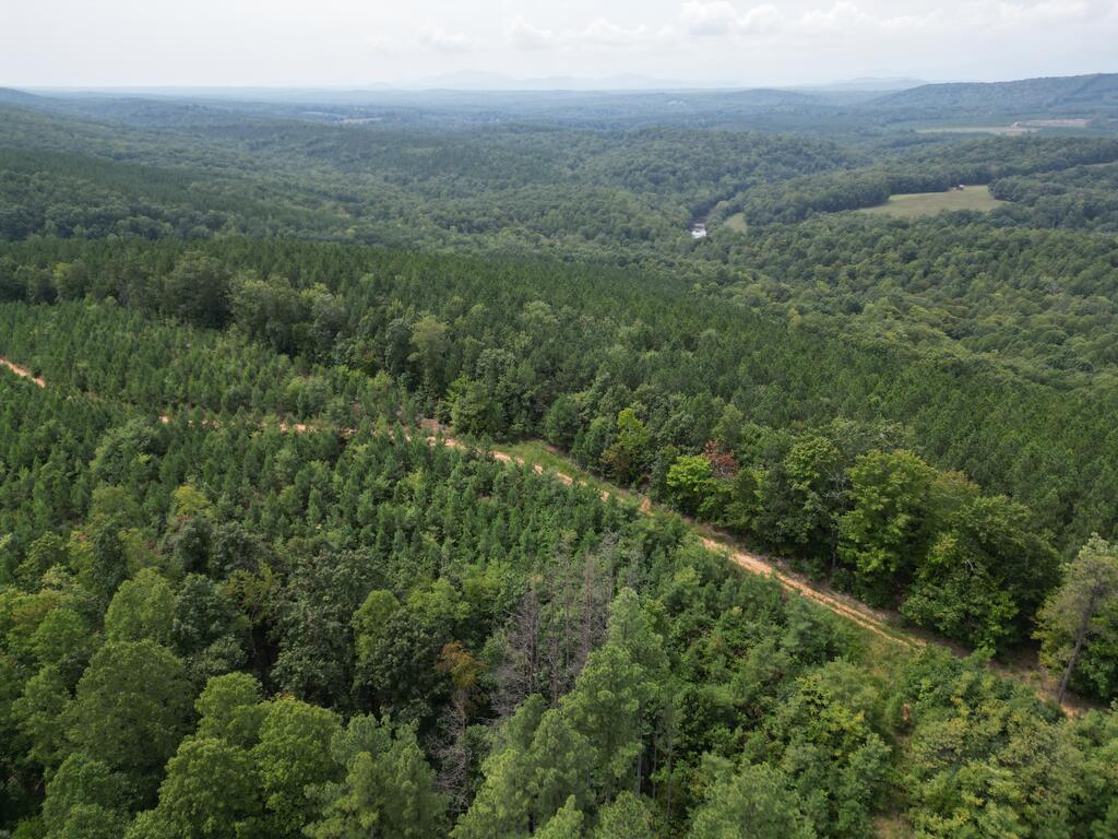 206+ Acres Bordering Tye River WMA – A Hunter’s Paradise