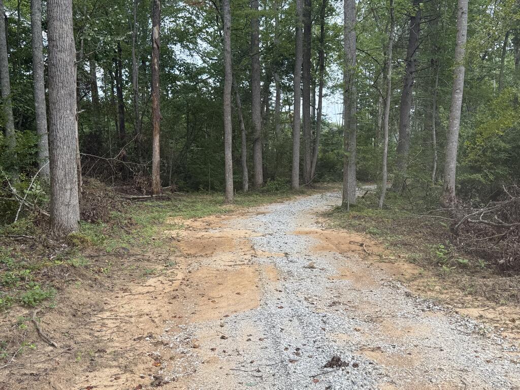 206+ Acres Bordering Tye River WMA – A Hunter’s Paradise
