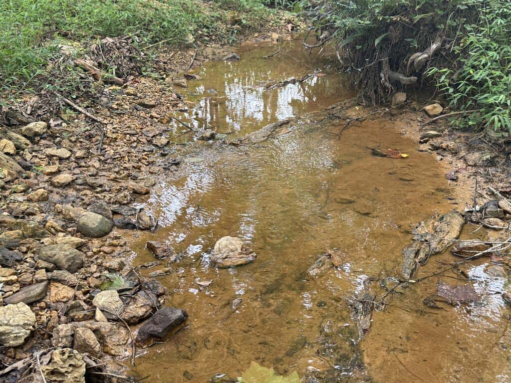 206+ Acres Bordering Tye River WMA – A Hunter’s Paradise