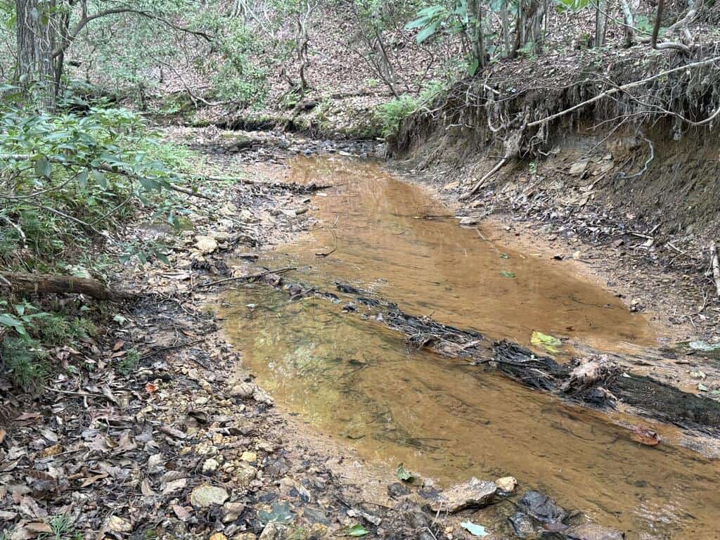 206+ Acres Bordering Tye River WMA – A Hunter’s Paradise