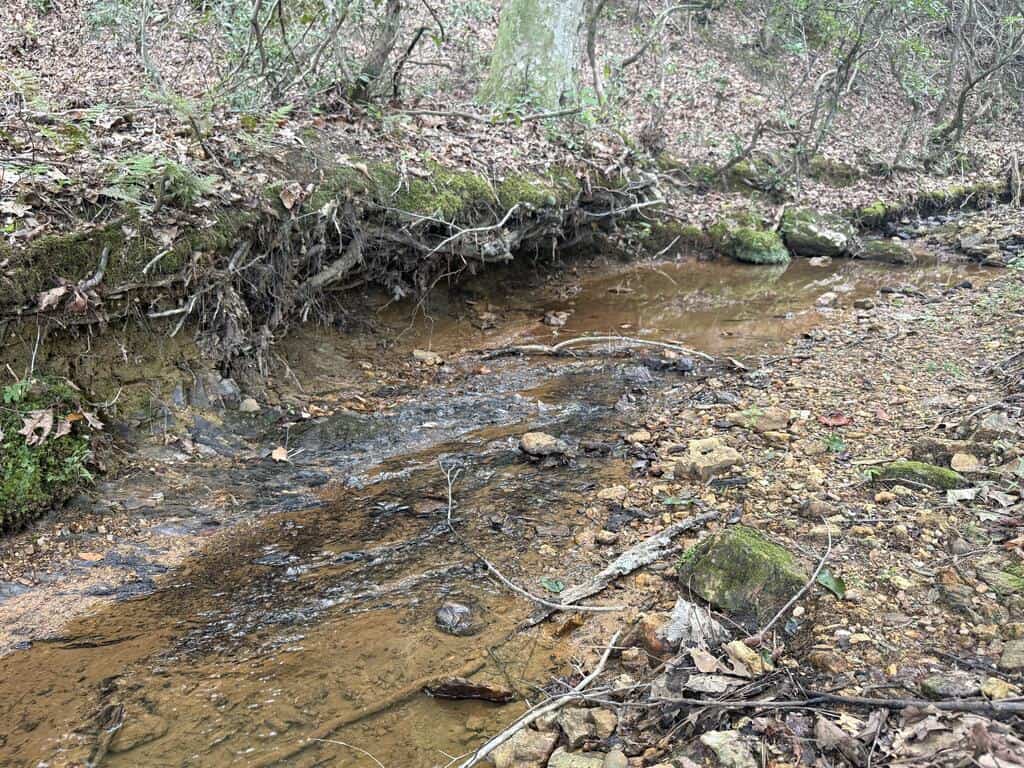 206+ Acres Bordering Tye River WMA – A Hunter’s Paradise
