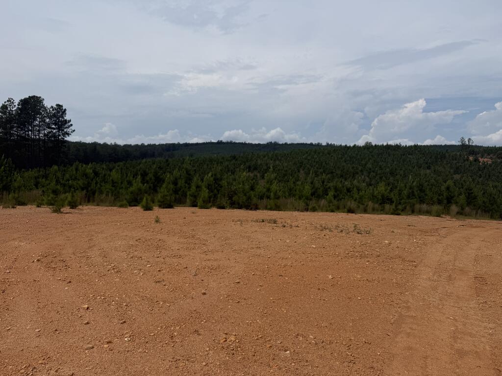 206+ Acres Bordering Tye River WMA – A Hunter’s Paradise