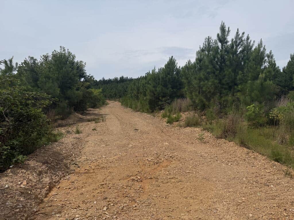 206+ Acres Bordering Tye River WMA – A Hunter’s Paradise