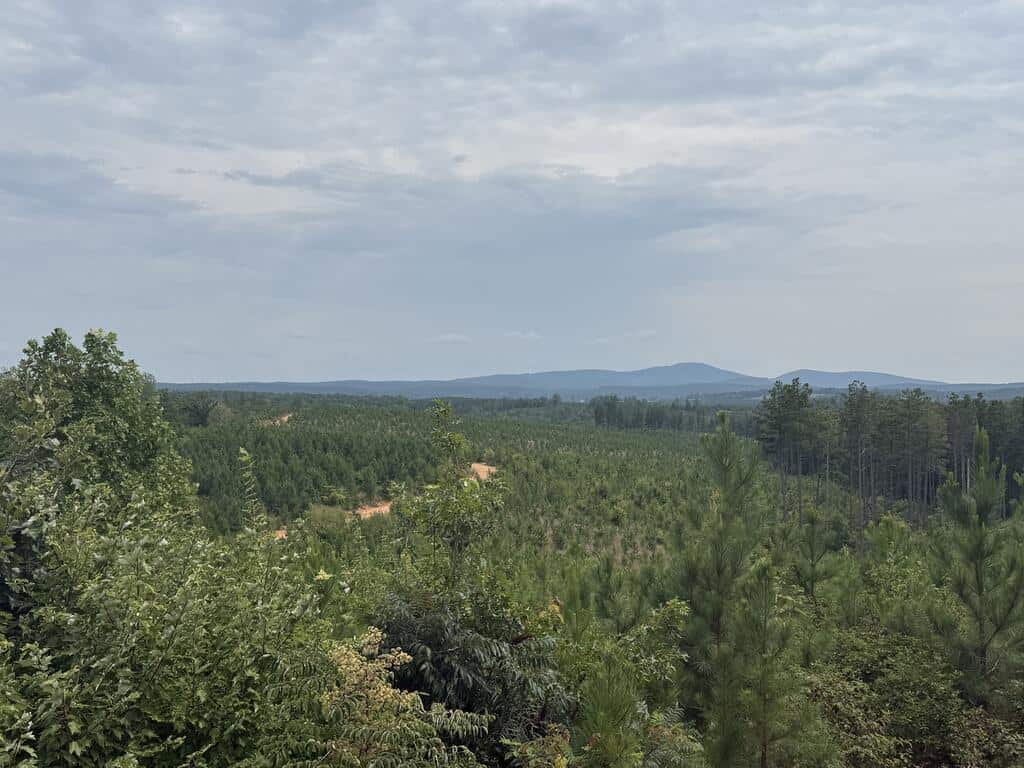 206+ Acres Bordering Tye River WMA – A Hunter’s Paradise