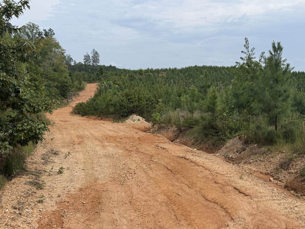 206+ Acres Bordering Tye River WMA – A Hunter’s Paradise