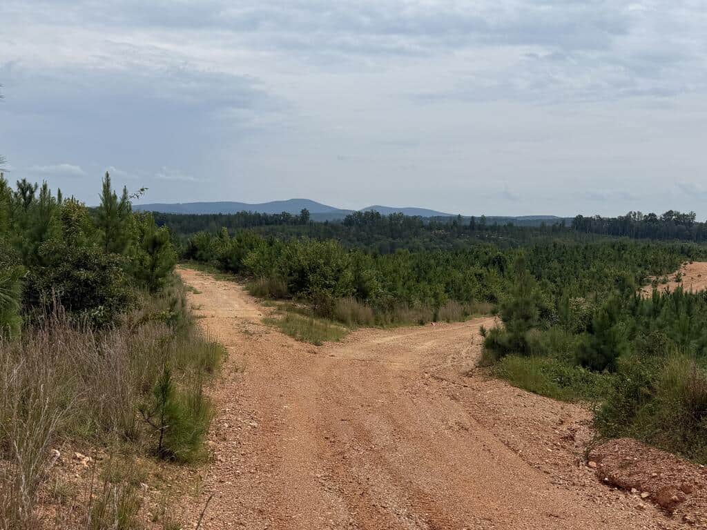 206+ Acres Bordering Tye River WMA – A Hunter’s Paradise