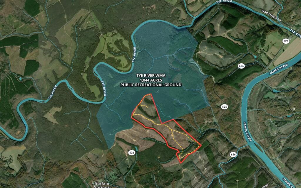 206+ Acres Bordering Tye River WMA – A Hunter’s Paradise