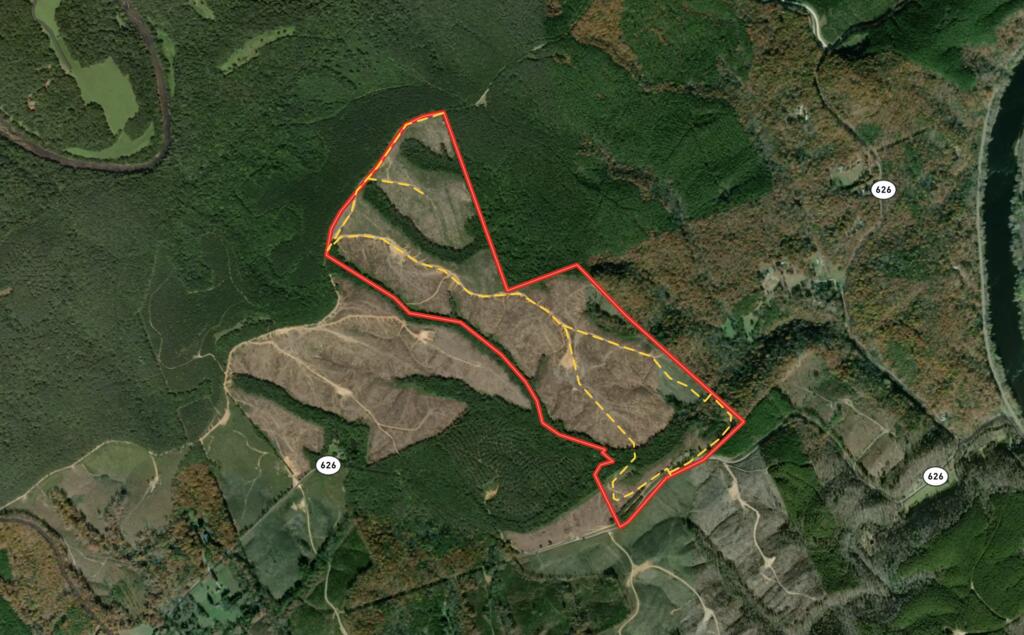 206+ Acres Bordering Tye River WMA – A Hunter’s Paradise