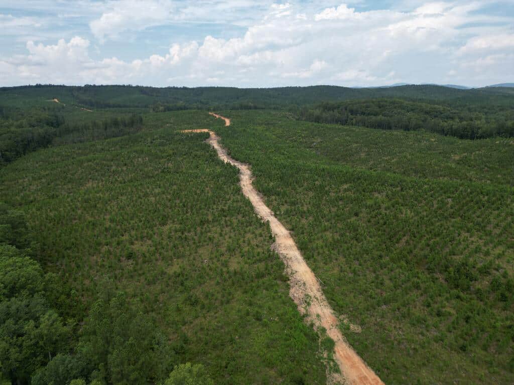 206+ Acres Bordering Tye River WMA – A Hunter’s Paradise