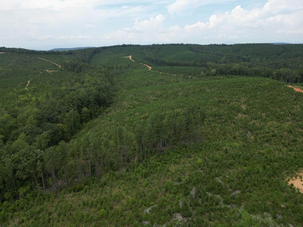 206+ Acres Bordering Tye River WMA – A Hunter’s Paradise