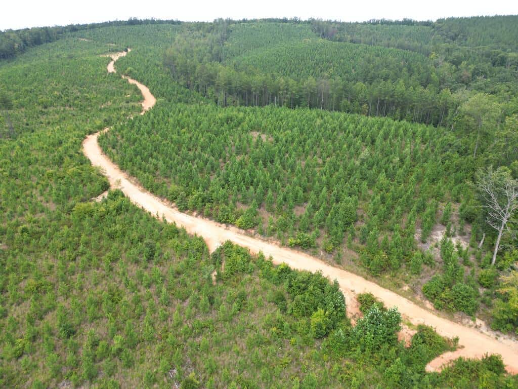 206+ Acres Bordering Tye River WMA – A Hunter’s Paradise